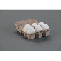 EGG CARTON